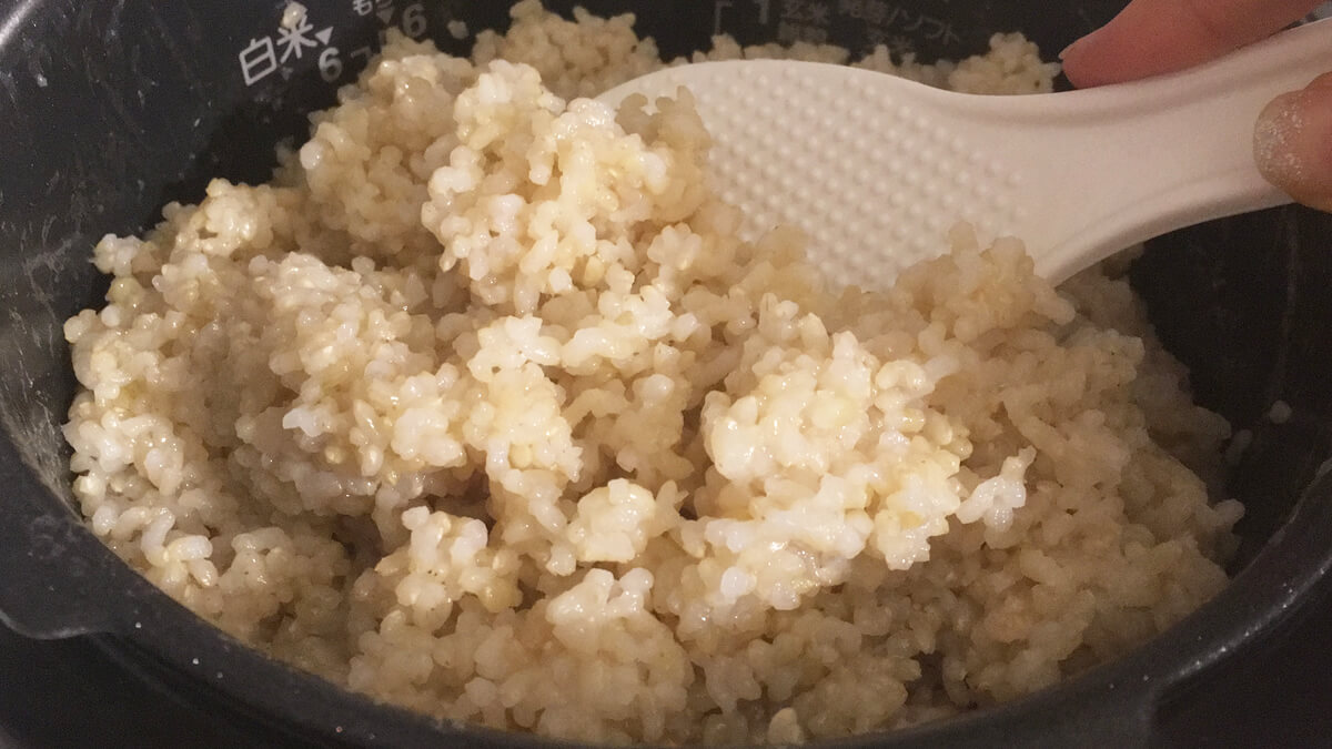 炊き立ての発芽玄米