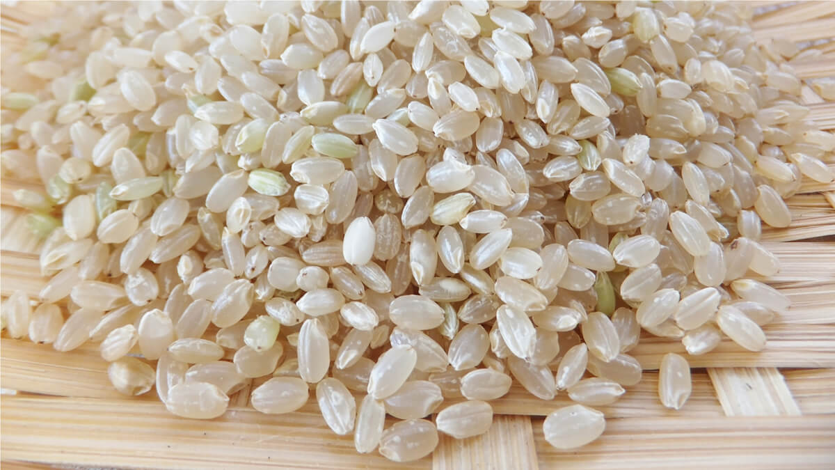 稲と、玄米