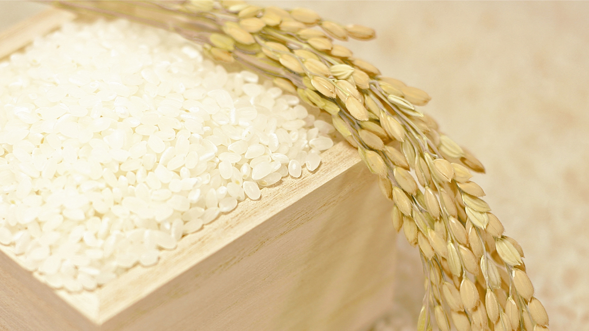 麦 と 玄米 の 違い
